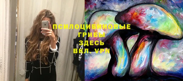 меф Елизово
