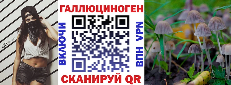 что такое наркотик  Элиста  Псилоцибиновые грибы Magic Shrooms 